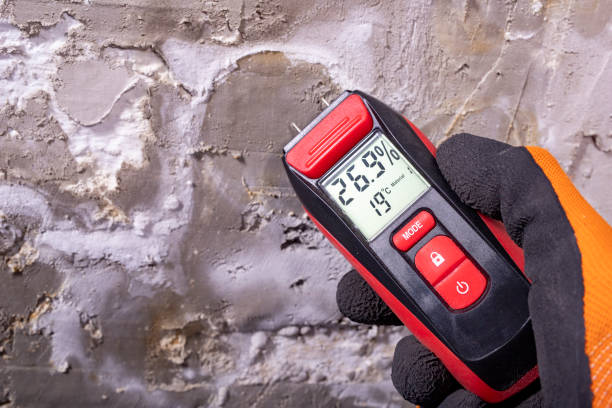 Best Post-Flood Mold Remediation in Otsego, MN